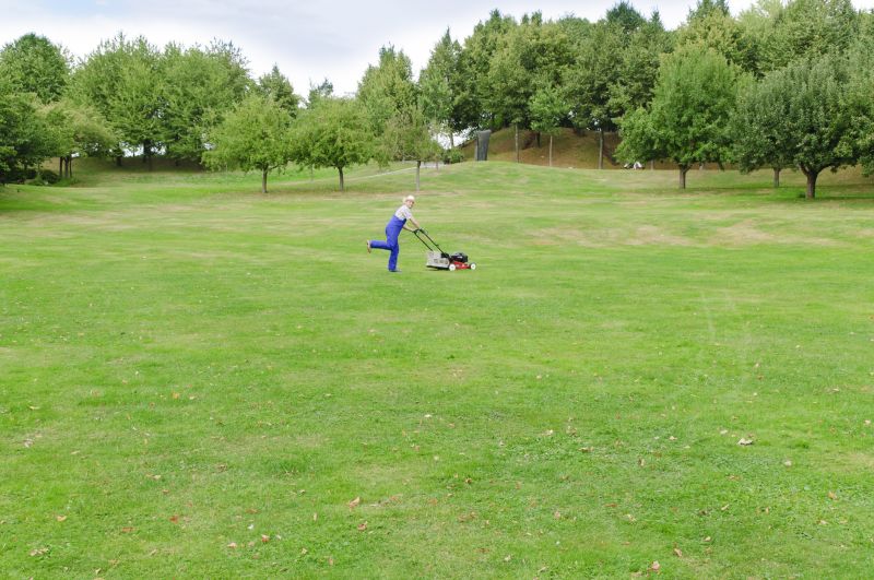 Vacant Lot Mowing