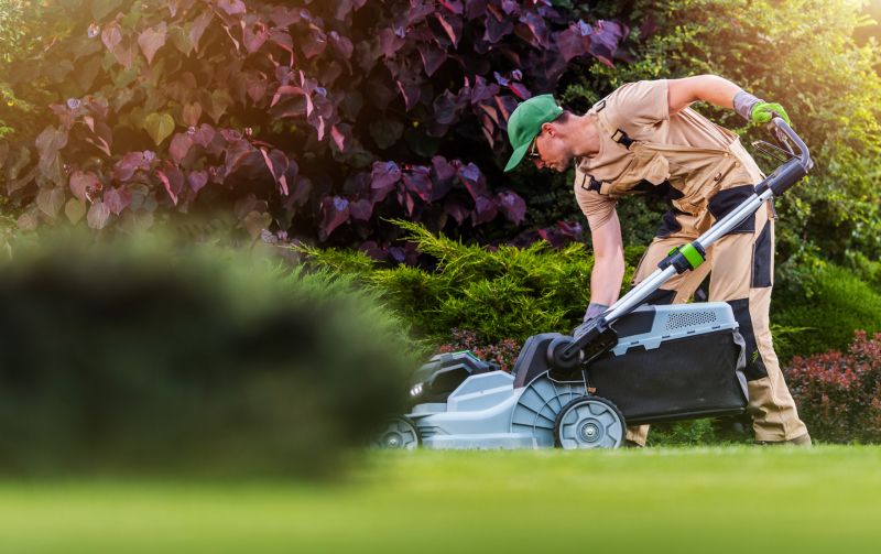 Specialized Lawn Care Providers